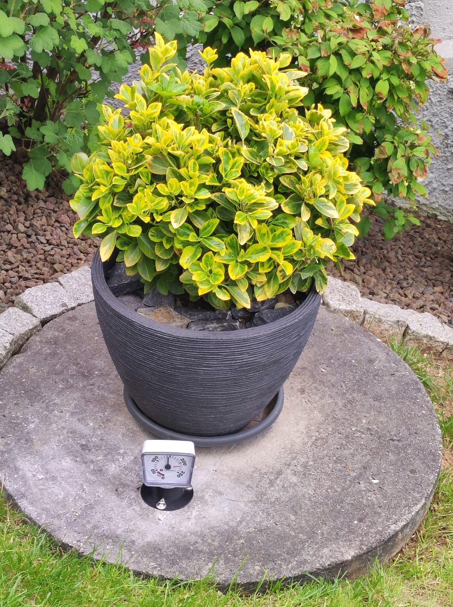 Füllstandsanzeige , wahlweise mit Aufschraubplatte f. Regenwasser Zisterne m. Kunststoff o. Betondeckel